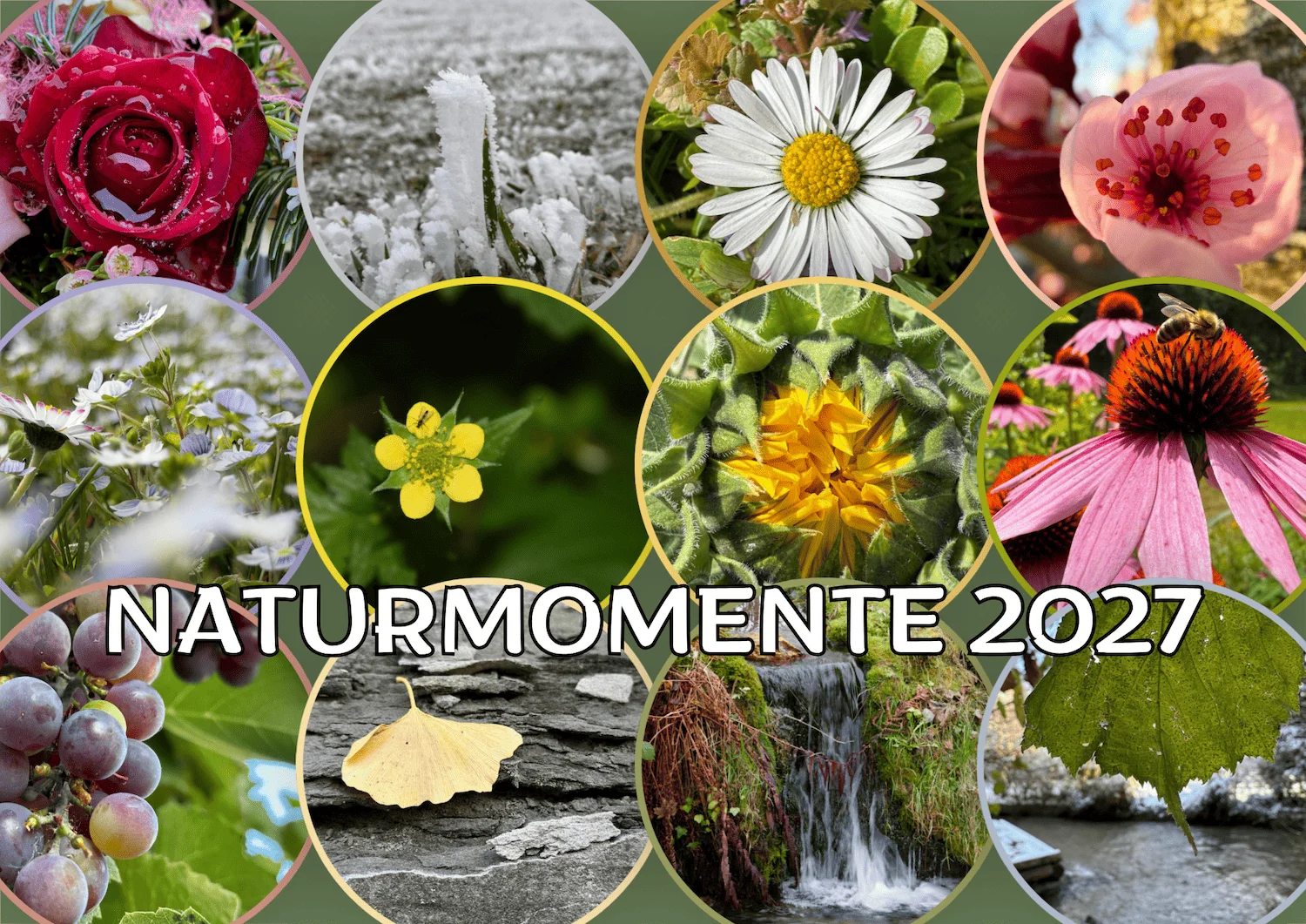 Naturmomente-Kalender 2027 le fleuri
