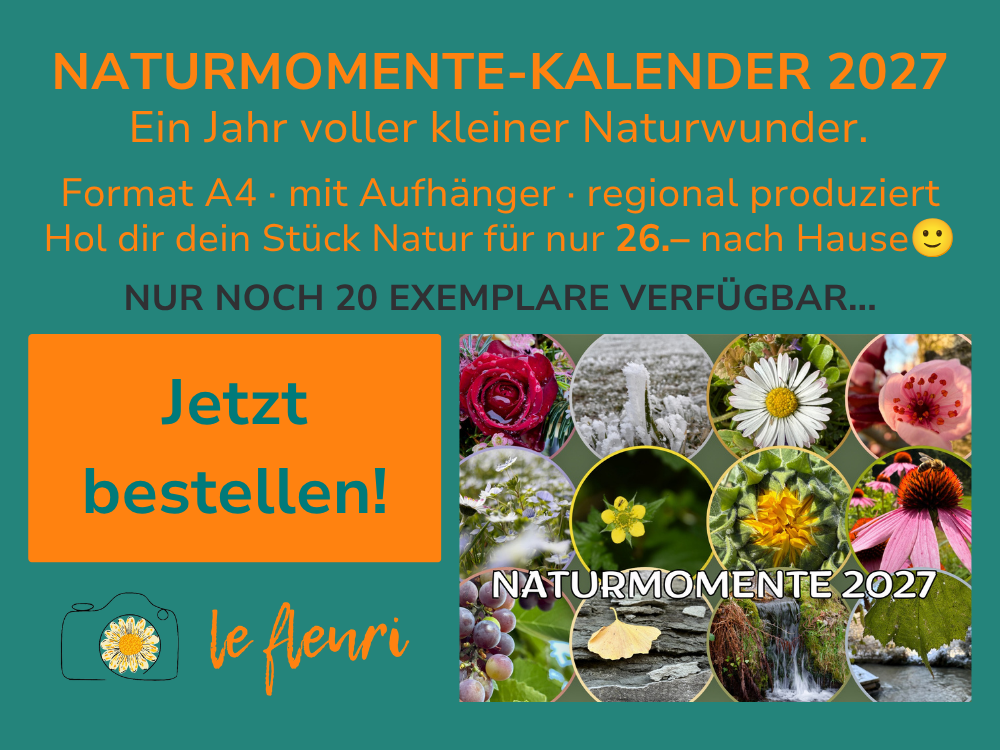 Werbung Kalender 2027